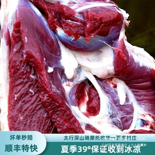 ɽ�����ɽ������̫��ɽ��ɽ��������ϐ��ɽ�������r���������r