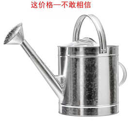 不锈钢洒水壶浇菜家用浇花水壶大容量农用大号淋菜铁皮洒水桶喷花