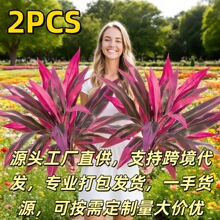�羳18�~����ľ��Ѫ����x���R�dtemuƽ̨������滨Դ�^�����S