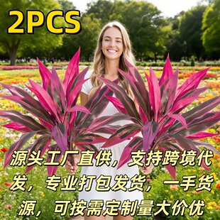 �羳����ľ��Ѫ������x���R�dtemuƽ̨������滨Դ�^�����S