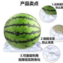 �r�íh��pet��������������бP���܉|�Nֲ��r�̶���