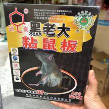 达豪黑老大粘鼠板