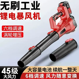 高压水枪;电链锯;割草机