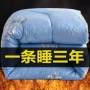 加厚春秋宿舍家用冬被