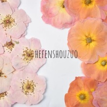 ��ɫõ���¼�������Ȼֲ��˱�diy���z�滨����ֹ����ϻ��ݕ���