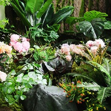 С��С�ݾGֲ���҃Ⱦ��^�쾰ֲ���Ĳ廨���b�ֲ���