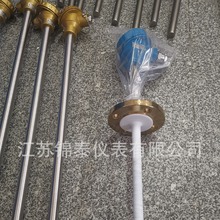 四氟熱電阻防腐熱電阻鎧裝熱電偶高溫熱電偶燒結熱電偶鉑銠熱電偶