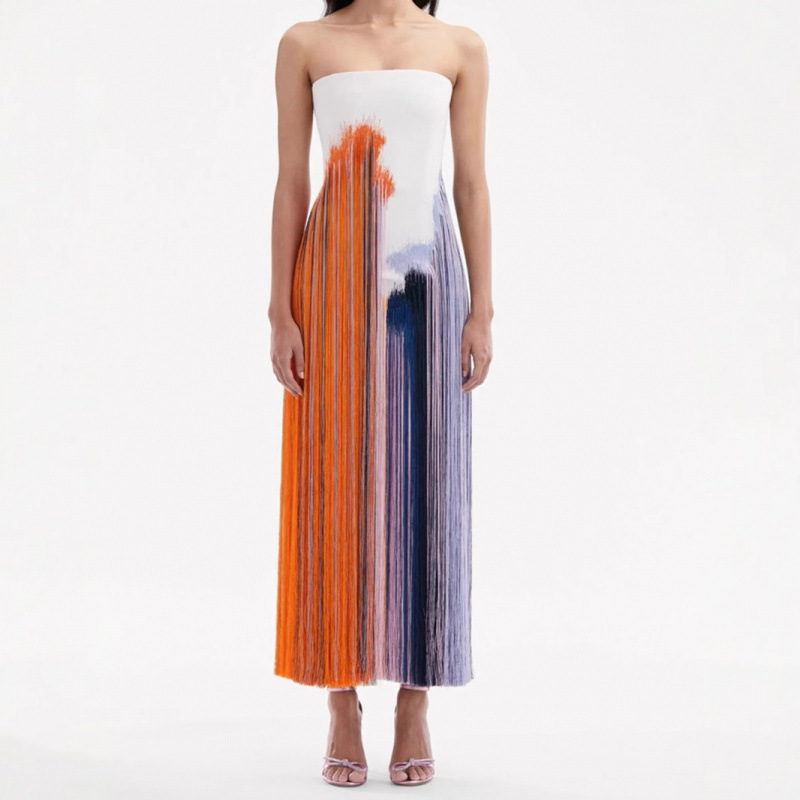 2025 New Summer Cross-Border European and American Women's Clothing Comfortable Casual Tube Top Tassel Printed Slit Long Dress