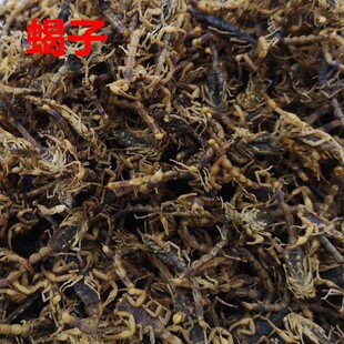 ��ș�����lȫϐ500�ˣ�һ� ��ˮϐ�� ȫϐ ȫ�x ��ϐ��