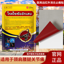 ̩��ϐ���N�L���P���i׵��ʹ�������ȼ����P��ϥ�w�����t���N10�N