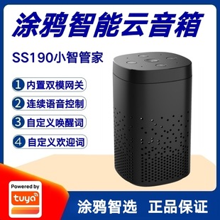 Graffiti Scheme Three-in-One Smart Speaker SS190 Xiaozhi Housekeeper Smart Home Gateway Voice Assistant