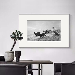 �ڰׄ���zӰ��Ⱥ�ߙn�p���X�Ͻ�ӿ����b��͏d�k���ҾƵ�쮋