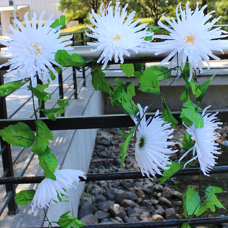 Pure white, 2.4 meters long