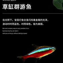 �t�G��С�͟����~��ȸ�~�Ꭷ�^�p�~��ˮ��ɏ���~���w�~Ⱥ���~���]