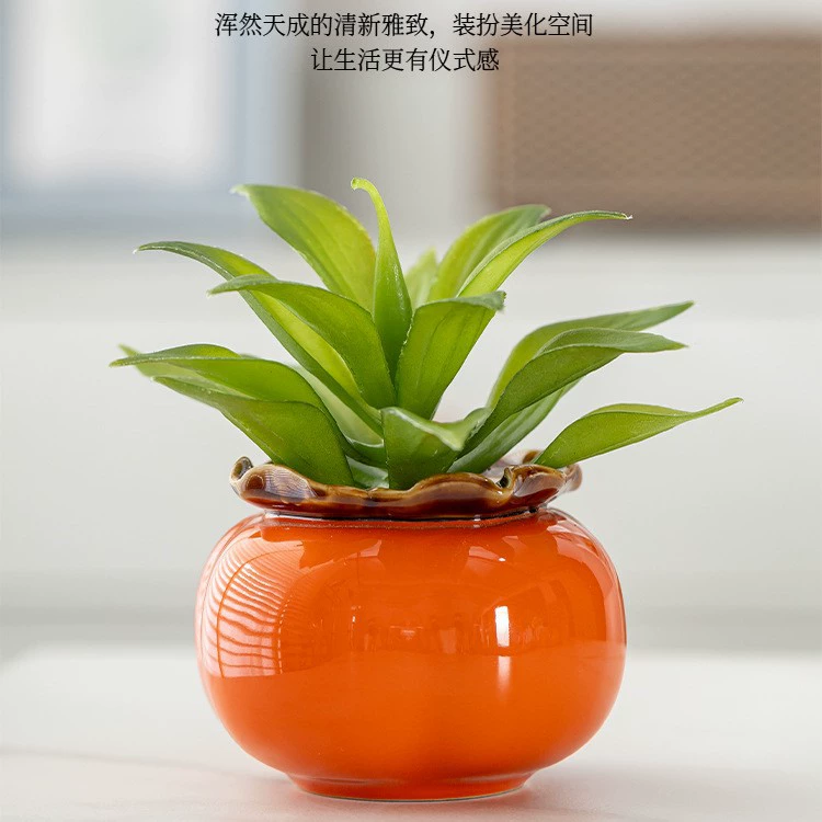 [视远创意柿子绿萝水培花瓶高级感现代风插花水养植物桌面装饰摆件]