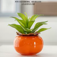 [视远创意柿子绿萝水培花瓶高级感现代风插花水养植物桌面装饰摆件]