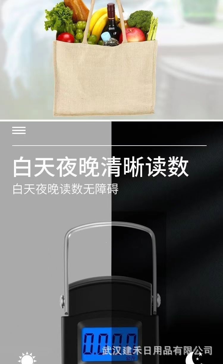 Taşınabilir elektronik terazi yüksek hassaslık elektronik tartı taşınabilir taşınır yay tartısı ev kullanımı hassas küçük tartı alet kancası toptan