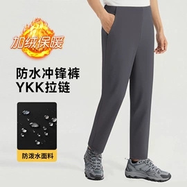 运动T恤;运动裤;速干衣裤