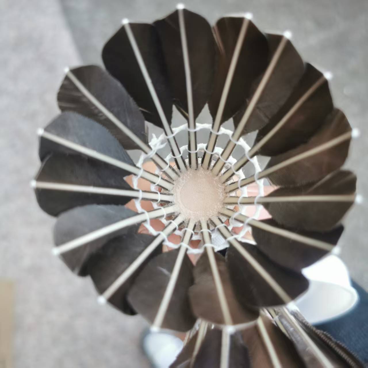 Durable Full-Circle Black Goose Feather Badminton, Durable for Training and Competition, Indoor and Outdoor, Windproof and Not Easy to Rot, Double Ball Head