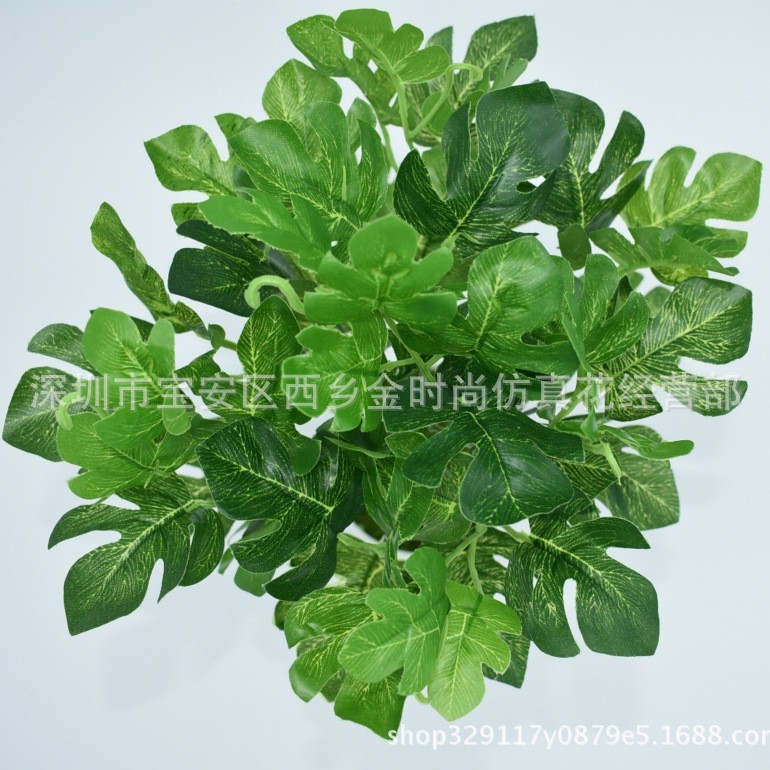 メーカー直販シミュレーション植物プラスチック造花植物壁配材ゴム手触り葉亀背葉緑羅|undefined