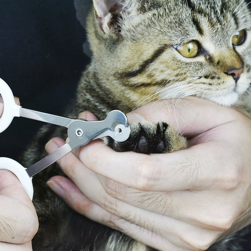 Кусачки для ногтей для кошек с круглым отверстием, Кровавые кусачки для ногтей из нержавеющей стали, кусачки для домашних животных, ограничивающие артефакты