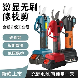 电链锯;电动扳手;修枝剪