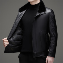 2025���b��ʿƤ���������eˮ��ë�ɲ�ж���I��ůƤ��q���ְ��b��