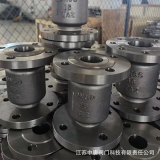 H42W-16TA2钛材立式止回阀 法兰立式止回阀 TA2法兰止回阀