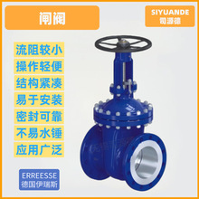 德国伊瑞斯ERS闸阀耐高温高压高腐蚀一级代理商进口品牌闸阀