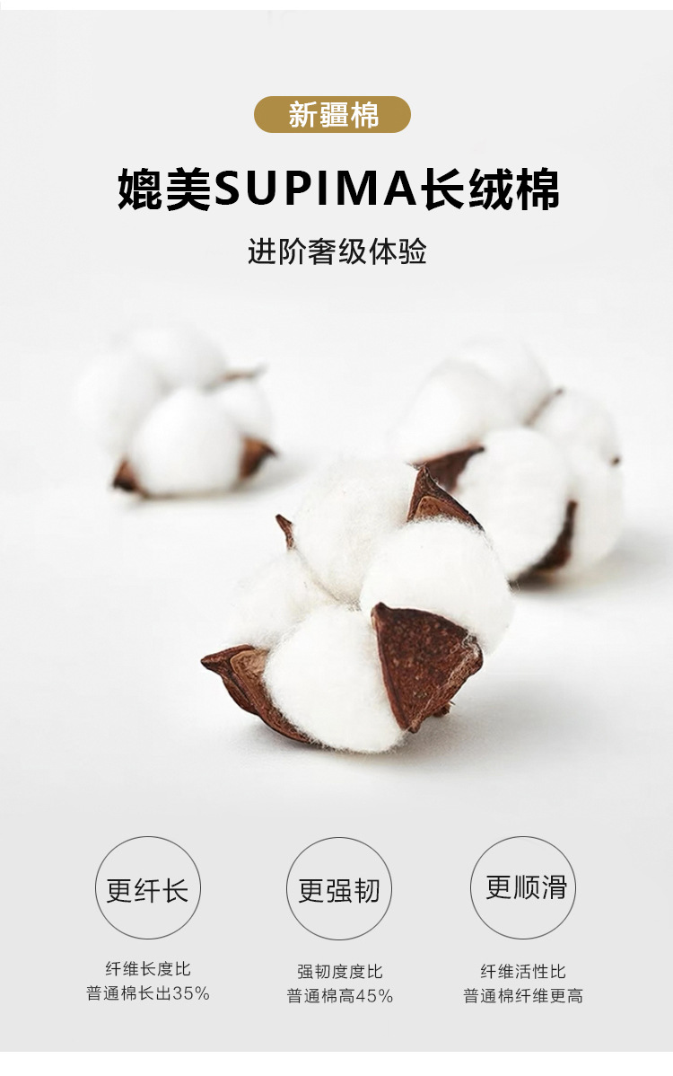 棉料介绍.jpg