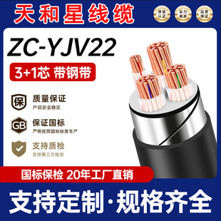 YJV2о�~о���|������ȼ���̾��|2+1/3+2�~о�����|10/40ƽ늾�