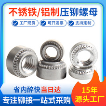 SP/CLA���P�F/�X�Ɖ��T��ĸ���T����ñ����l���T��ĸM2-M10���P�