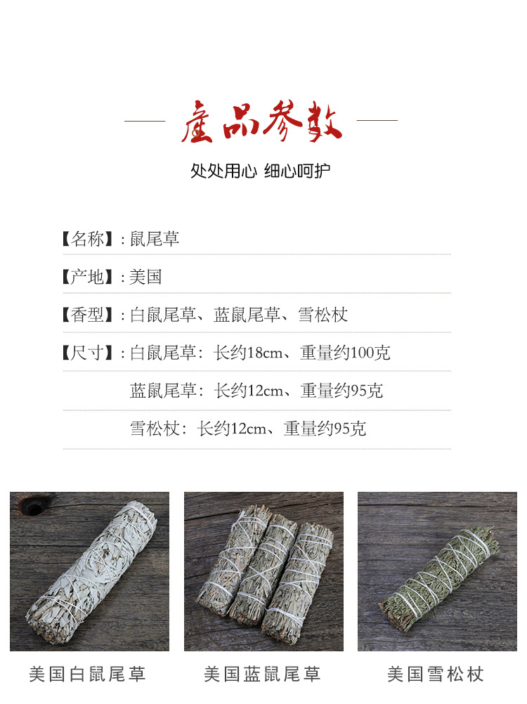 鼠尾草-1_03.jpg