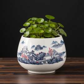 铜钱草水培花盆简约器皿金钱草专用陶瓷水仙花水养一叶莲碗莲桌面