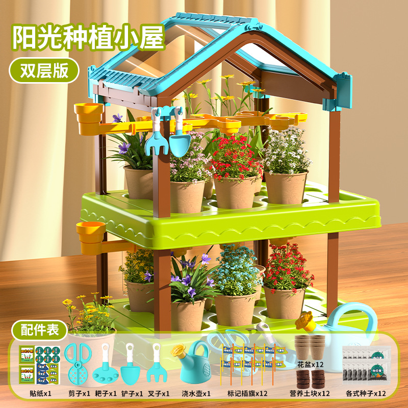 [절묘한 선물 상자] 더블 태양 방 12 씨앗 세트