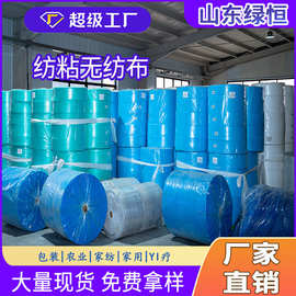 wow定制pp无纺布阻燃白色黑色加工农用果树防寒布纺粘无纺布卷材