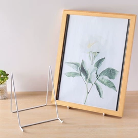 装饰花瓶;饰品展示架;微景观