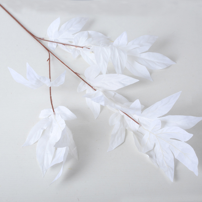 Beautiful white leaves