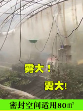 �Bֳ���ｵ�ؼӝ���ʳ�þ��m�����B�o�������F�C�x���F���P����