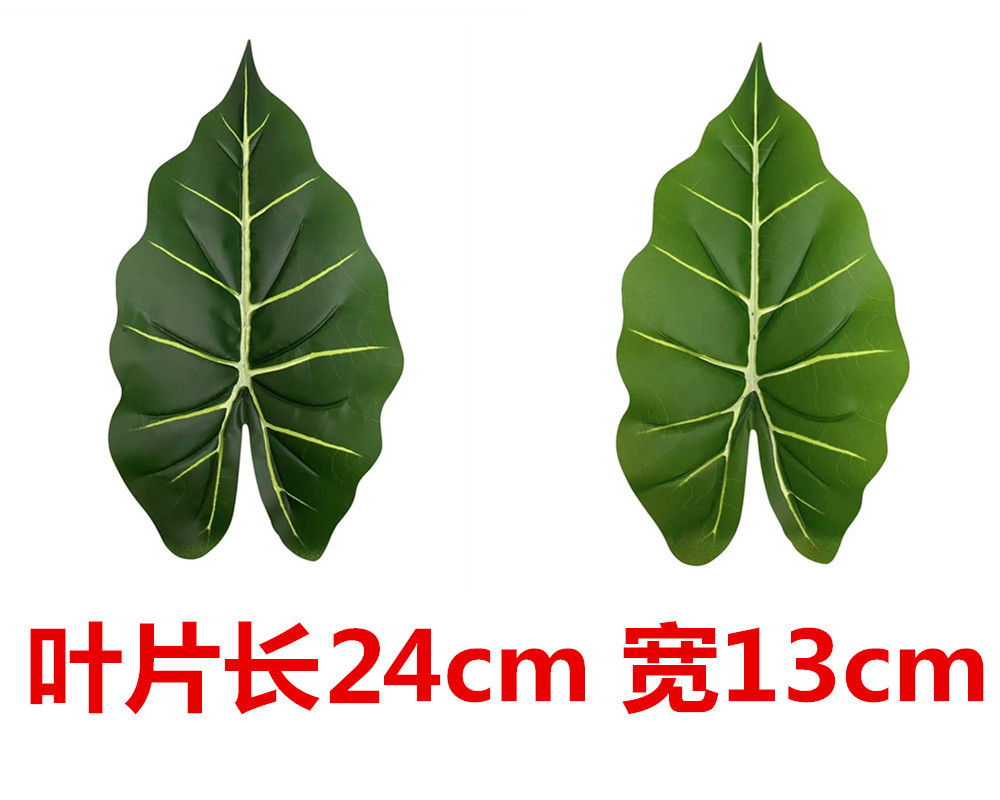 未命名_副本655_副本