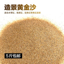 沙三湖鼠鱼底沙鱼缸草缸水陆造景化妆沙细河沙水草砂家具跨境专供