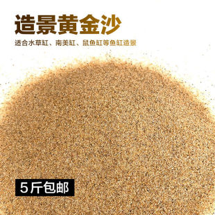 ɳ�������~��ɳ�~�ײݸ�ˮ��쾰���yɳ����ɳˮ��ɰ�Ҿ߿羳����