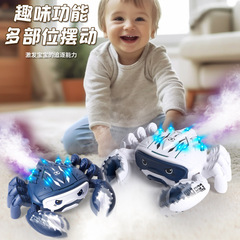 新款電動萬向輪機械螃蟹燈光可噴霧仿真爬行螃蟹動物兒童電動玩具