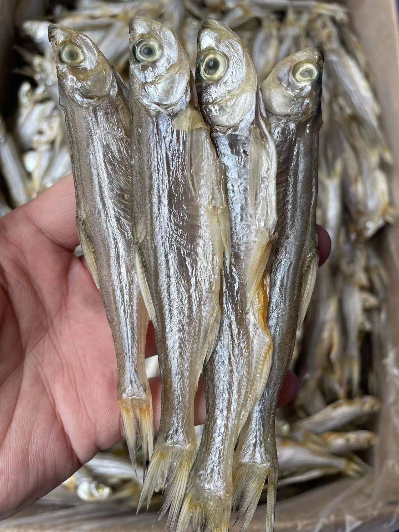 微信图片_20220703110518