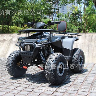 125ccɳ��܇4x2С���Ǒ���ԽҰ܇ATV UTV4X2�������ȫ����ɽ��܇