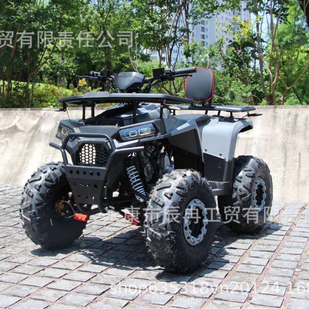 125cc沙滩车4x2小天狼户外越野车ATV UTV4X2户外成人全地形山地车