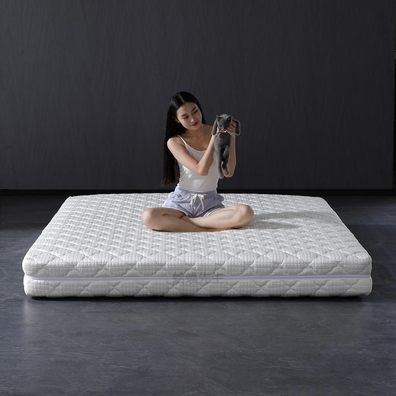 Late Autumn Furniture Black Swan Mattress Hard Cushion Spine Protection Home Master Bedroom Simmons Independent Spring Compression Roll-Up Cushion