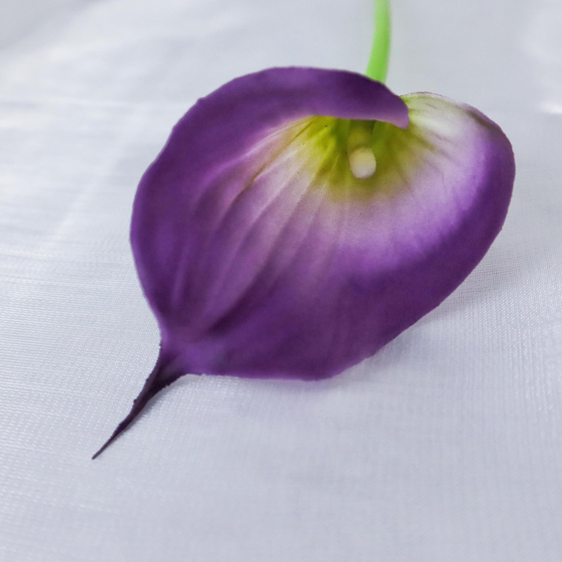 Mini mano-sensación Calla Lily falso ramo de flores artificiales transfronterizas Comercio exterior decoración del hogar Accesorios de fotografía fábrica al por mayor