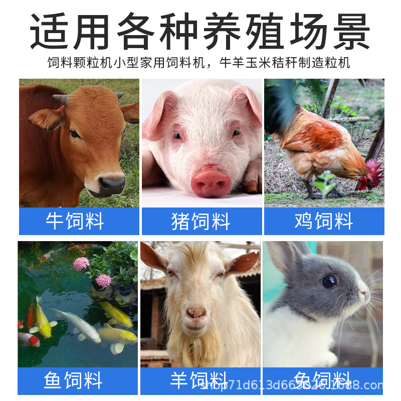 Granularidad doméstica granularidad de cultivo de paja de maíz de tres fases granularidad granularidad de alimentación de pollo
