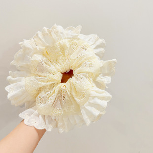 �n���|���T�߼�������̽��װ�ɫ��ˇ���c�lȦ�l�K�^���Շ����^��